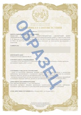 Образец Сертификат СТО 01.064.00220722.2-2020 Борисоглебск Сертификат СТО 01.064.00220722.2-2020 